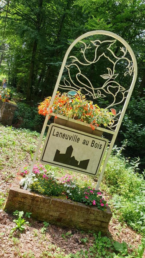 Bed and Breakfast Le Prangeleux à Tenneville Extérieur photo